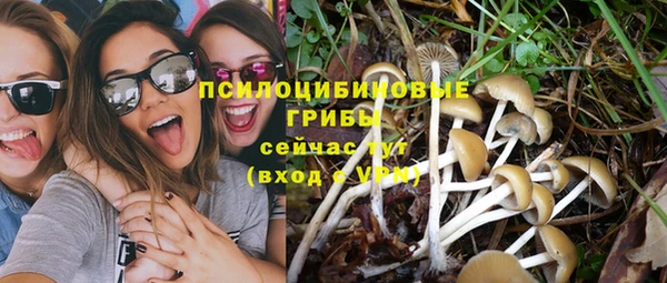 соль курить ск Ростов