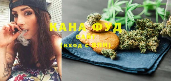 индика Россошь